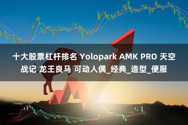 十大股票杠杆排名 Yolopark AMK PRO 天空战记 龙王良马 可动人偶_经典_造型_便服